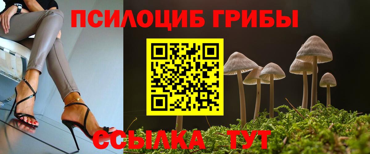 Псилоцибиновые грибы мухоморы  Псилоцибиновые грибы Magic Shrooms  Новоалександровск  Вход с VPN 