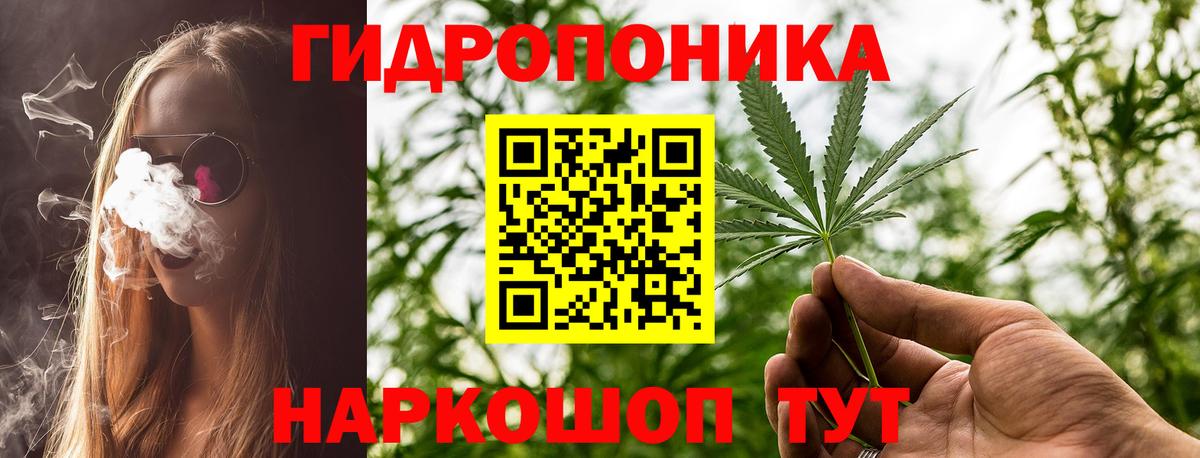 Бошки Шишки планчик Новоалександровск